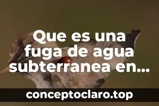 Que es una fuga de agua subterranea en general
