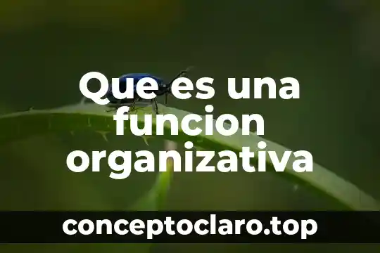 Qué es la connotación en una función 6 Que es una funcion organizativa