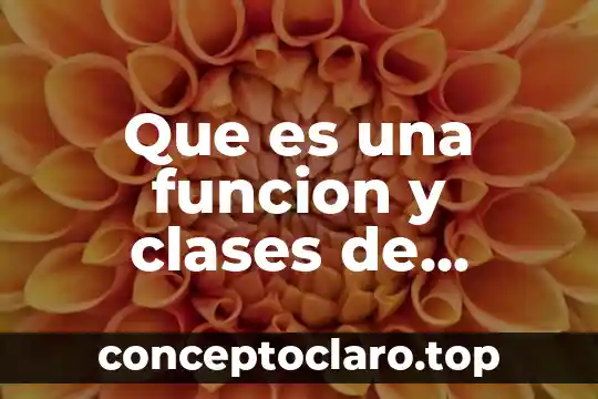 Que es un organigrama funciones 5 Que es una funcion y clases de funciones