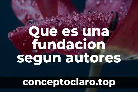 Que es una adecuacion segun autores 8 Que es una fundacion segun autores