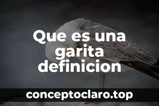 Que es una garita definicion