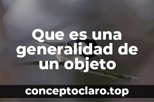 Que es la la generalidad de a pequeña empresa 3 Que es una generalidad de un objeto