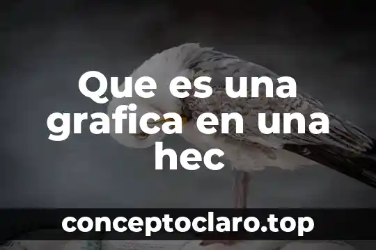 Que es una grafica hidroalcoholica 4 Que es una grafica en una hec
