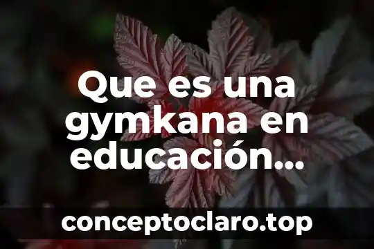 Qué es u para física 7 Que es una gymkana en educación física