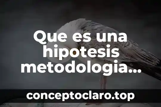 Que es una hipotesis metodologia de la investigacion