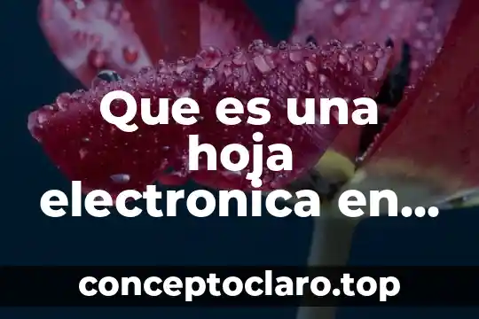 Qué es un diario general contable 8 Que es una hoja electronica en el proceso contable