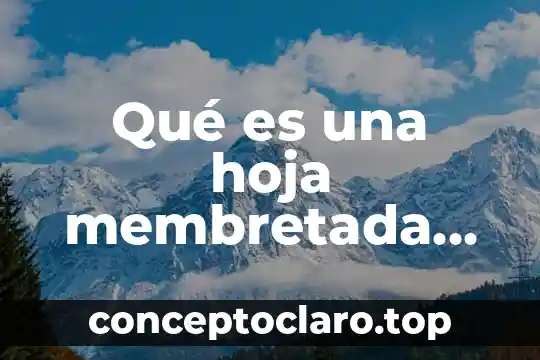 Que es didactica de la informatica 3 Qué es una hoja membretada informática