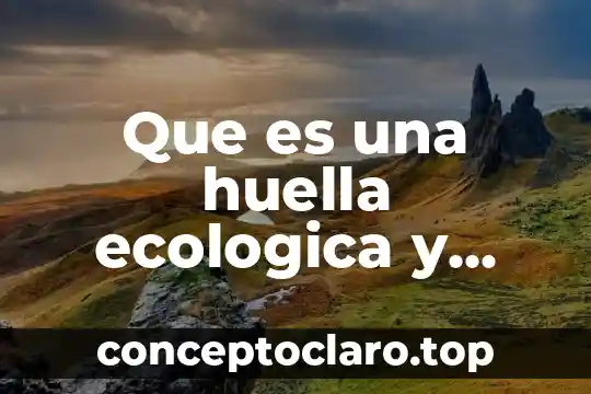Que es una huella ecologica y ejempas