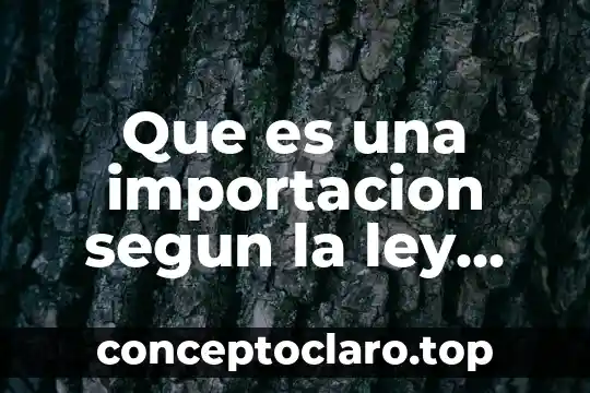 Que es una importacion segun la ley aduanera