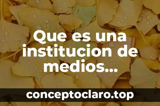 Que es una institucion de medios publicitarios