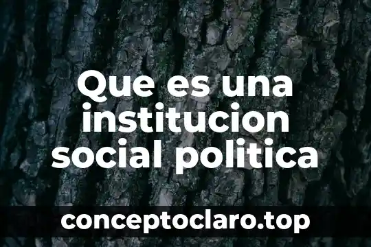 Que es una institucion social politica