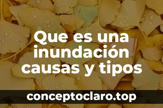 Que es una inundación causas y tipos