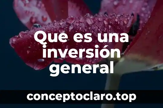 Que es una mesetas pario general 4 Que es una inversión general