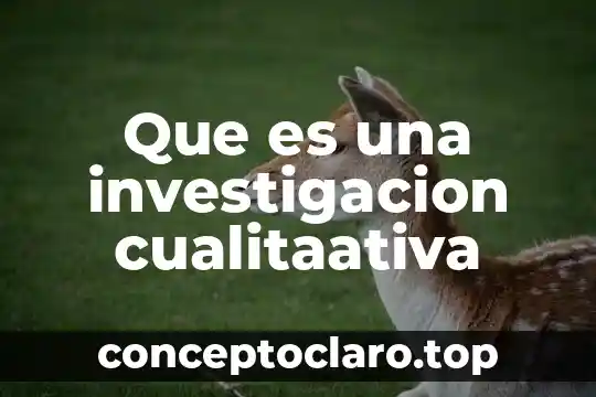 Que es la coherencia en una investigación 5 Que es una investigacion cualitaativa