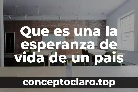 Que es un pais subdesarrollado y desarrollado 3 Que es una la esperanza de vida de un pais