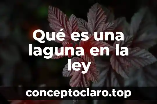 Que es una ley autoaplicativa 3 Qué es una laguna en la ley