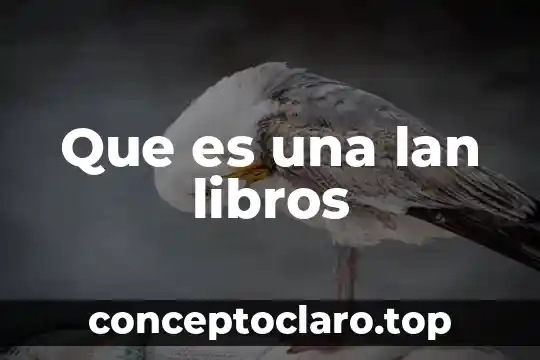 Que es una lan libros