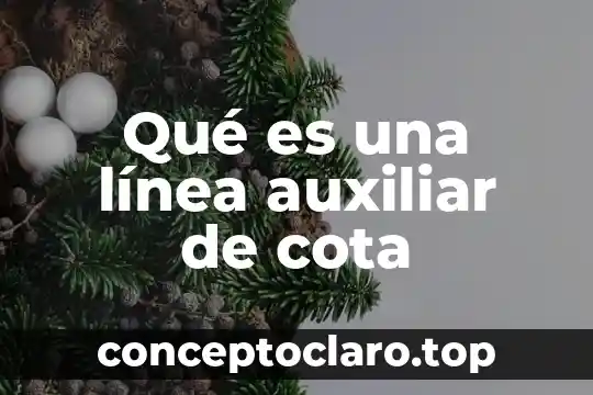 Lsm en linea que es introduccion 6 Qué es una línea auxiliar de cota