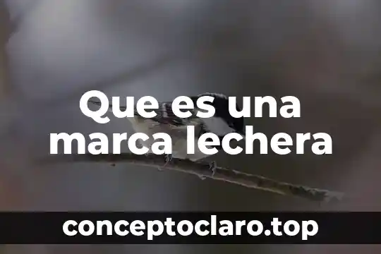 Que es una exhibicion color referente de marca 8 Que es una marca lechera