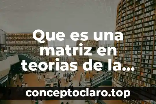 Que es una matriz en teorias de la comun icacion