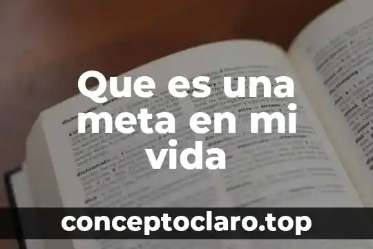 Que es una meta en mi vida