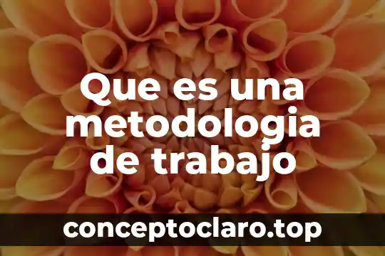Que es una metodologia de trabajo