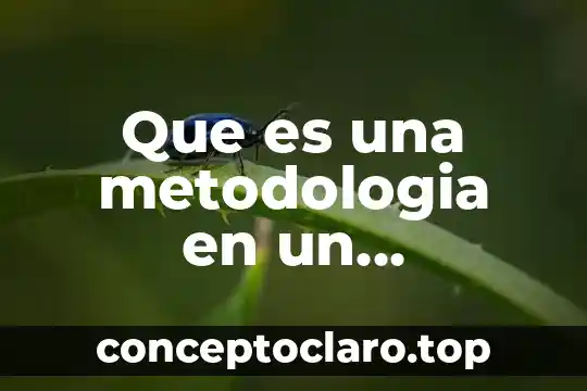 Que es una metodologia en un protocolo de investigacion