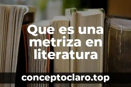 Que es concatenacion en literatura 4 Que es una metriza en literatura