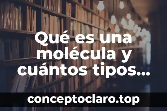 Qué es innovación y cuántos tipos de INPs existen 5 Qué es una molécula y cuántos tipos hay