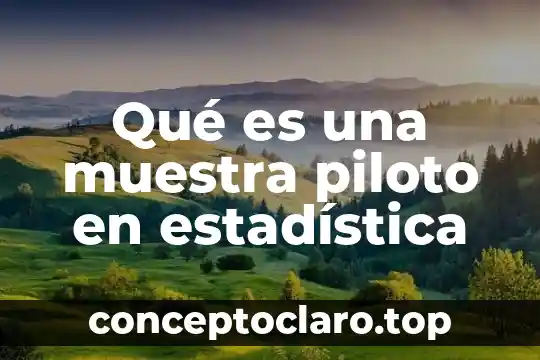 Que es una planta piloto para poliestireno expandido 6 Qué es una muestra piloto en estadística