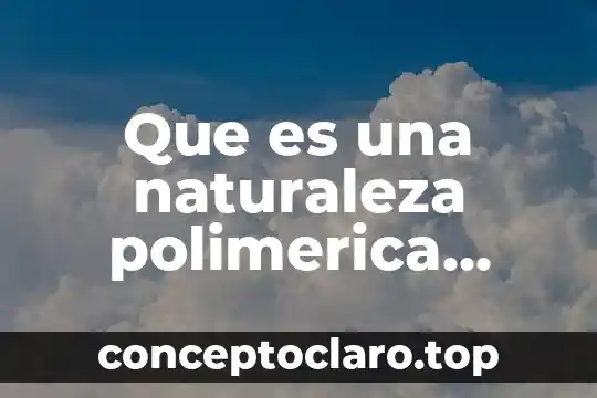 Qué es el significado de cheila 7 Que es una naturaleza polimerica significado