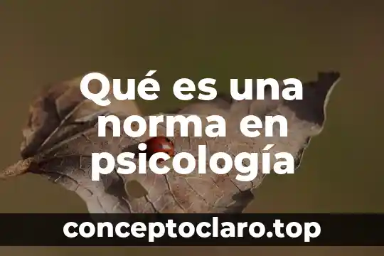 Qué es una norma en psicología