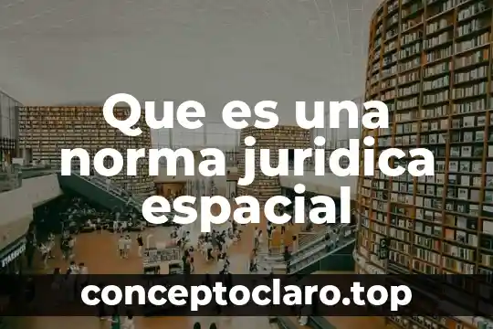 Que es una norma juridica espacial