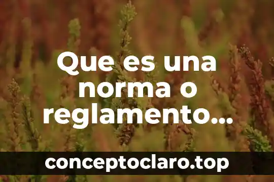 Que es el reglamento de la ley federal de turismo 7 Que es una norma o reglamento cuales ahy