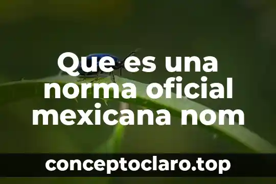Qué es constancia de alineamiento y número oficial 3 Que es una norma oficial mexicana nom