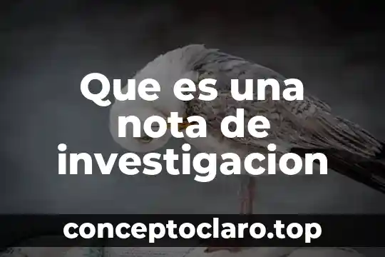 Que es una nota de investigacion