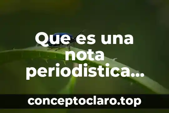 Qué es una nota periodística y sus características 3 Que es una nota periodistica yahoo