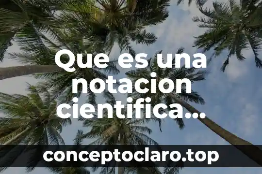 Que es una revolucion cientifica para thomas kuhn 6 Que es una notacion cientifica resumen