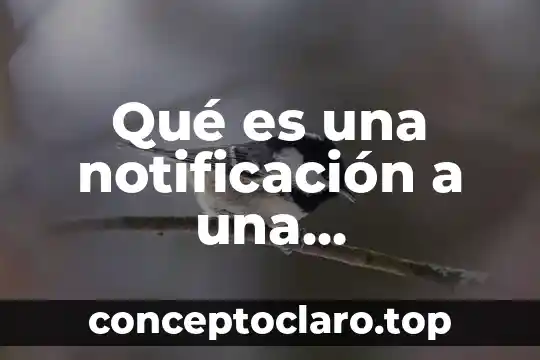 Qué es una notificación a una impugnación en México