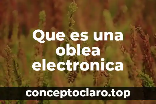Código fiscal que es la firma electrónica 4 Que es una oblea electronica