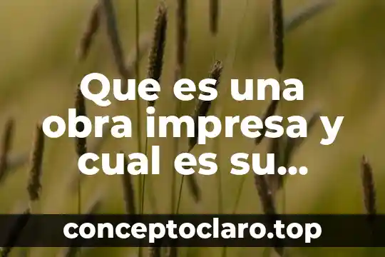 Que es una obra impresa y cual es su definicion