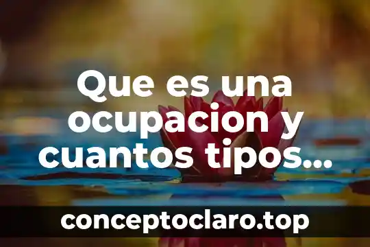Qué es un curriculum y cuantos tipos existen 7 Que es una ocupacion y cuantos tipos de ocupacion