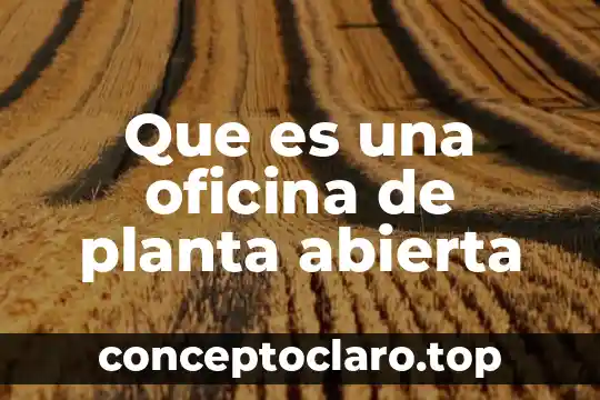 Que es una oficina de planta abierta