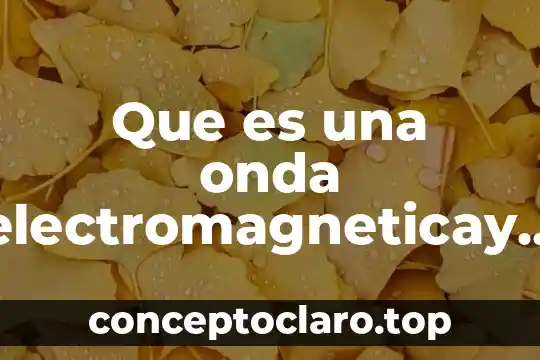 Que es una onda electromagneticay cuales son sus partes