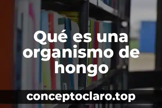 Qué es una organismo de hongo