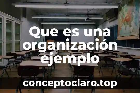 Que es una organización ejemplo