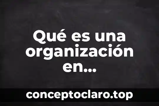 Qué es una organización en contabilidad