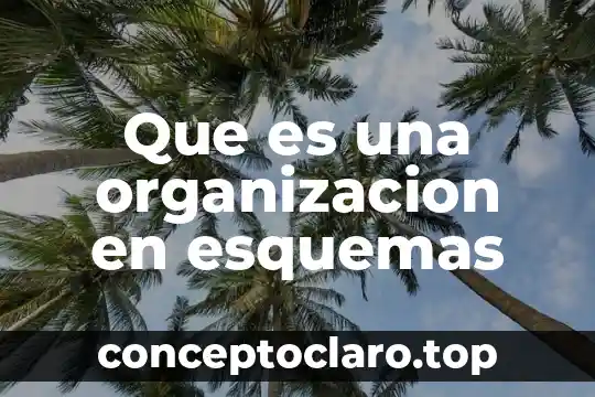 Que es un gasto de organizacion 3 Que es una organizacion en esquemas