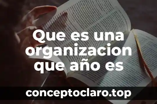 Que es un gasto de organizacion 6 Que es una organizacion que a帽o es