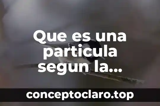 Que es la fisica clasica y su significado 3 Que es una particula segun la mecanica clasica